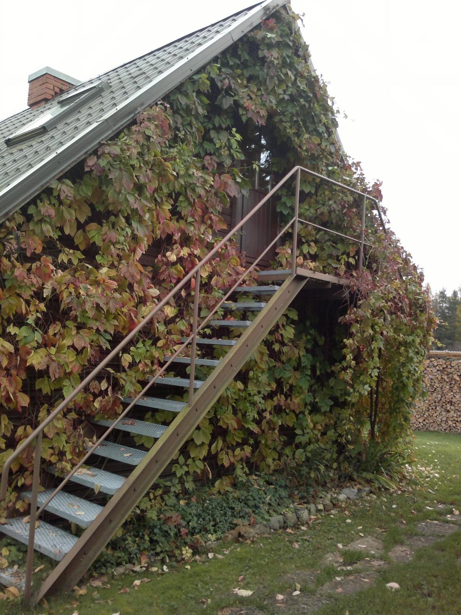 Bed and Breakfast Laane Pansion Käsmu Zewnętrze zdjęcie